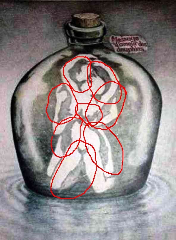 bouteille dauphins.jpg